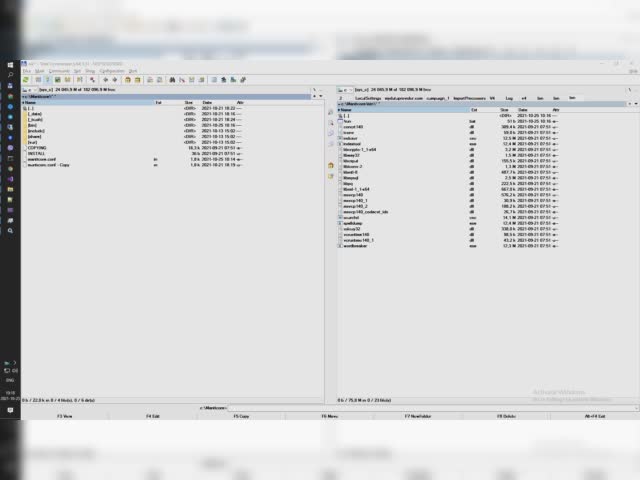 manticore_issue_win10.avi