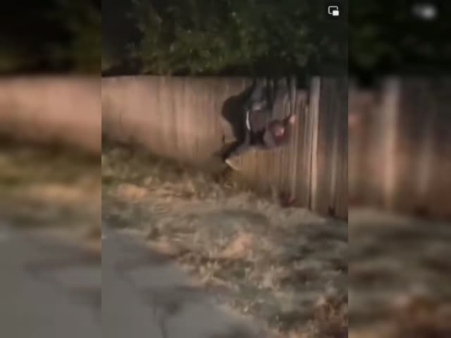 яяяя.mp4