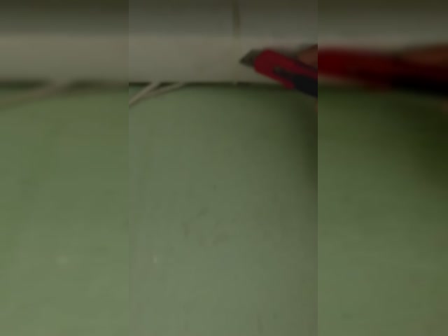 trim.A805E7C3-3CC3-4DD2-BFD5-134C7BA33835.MOV