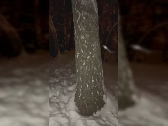 VID_20230103_184004_552.mp4.mov