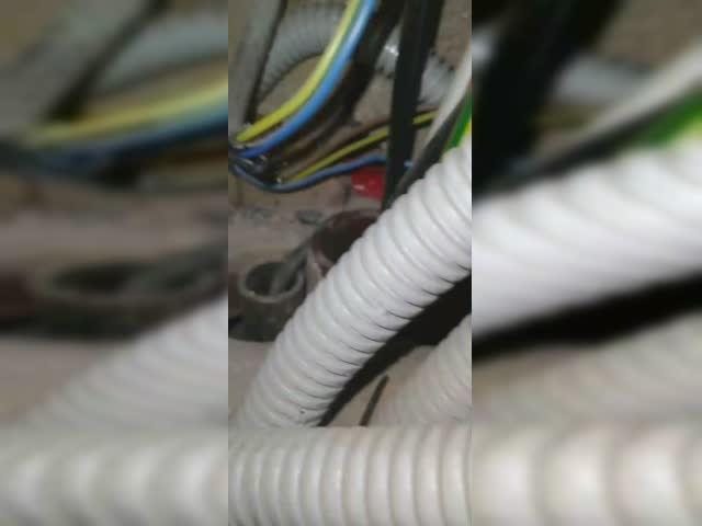 3458140449183895442.mp4