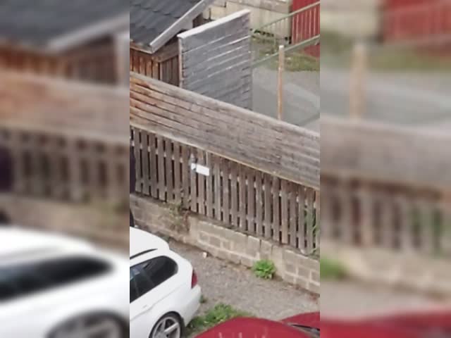 VID_20220726_182226542~2.mp4