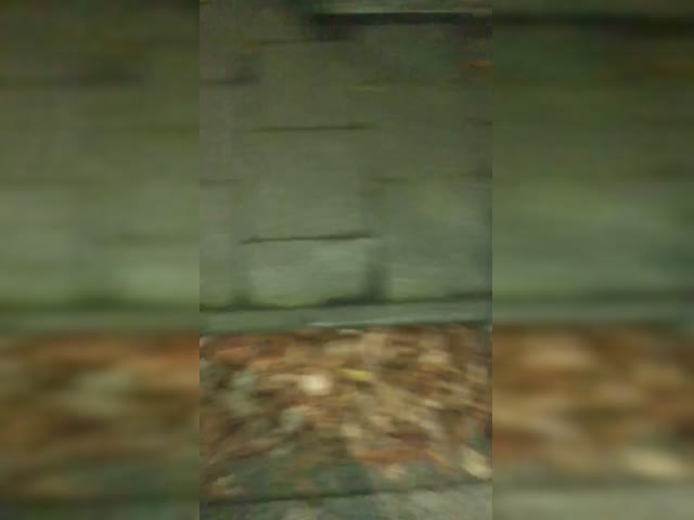 trim.654AF7A5-5E10-4C18-9F5C-D495A96D3FE8.MOV