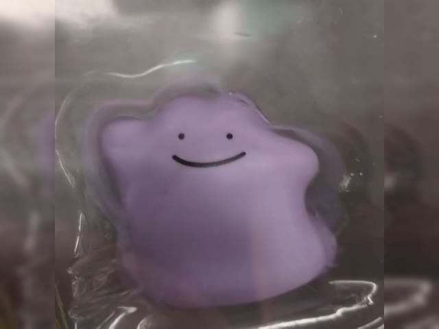 TOMT Ditto