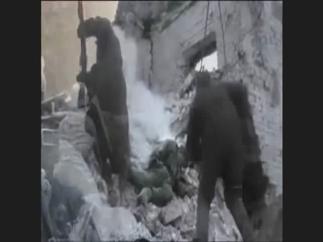 yt5s.com-N.O.W. Bohemian Kingdom (official)-(480p).mp4
