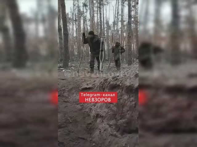 000000000.mp4