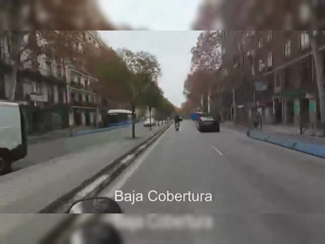 Pajarraco