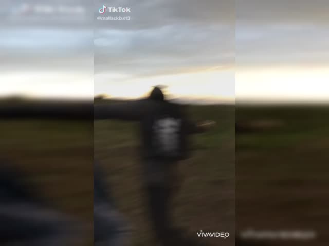 Favourite TikTok videos