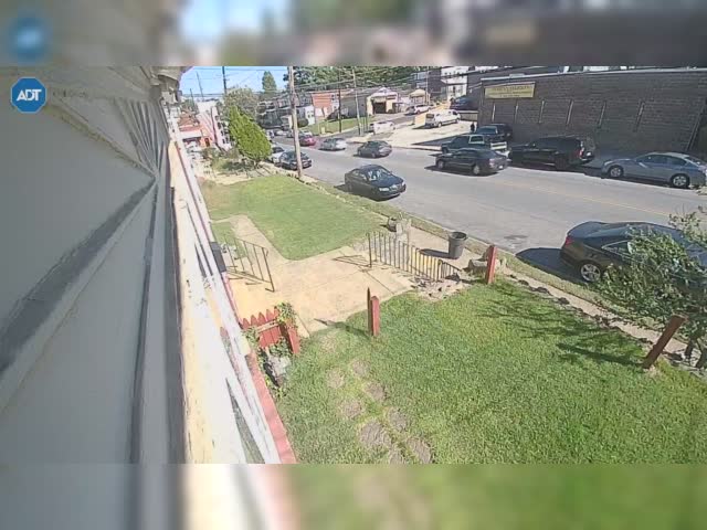 Supposedly Disabled Neighbor