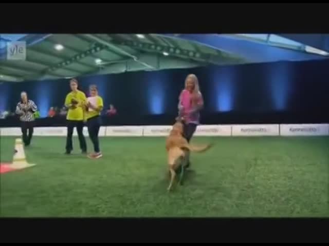 aA0442R_460sv.mp4