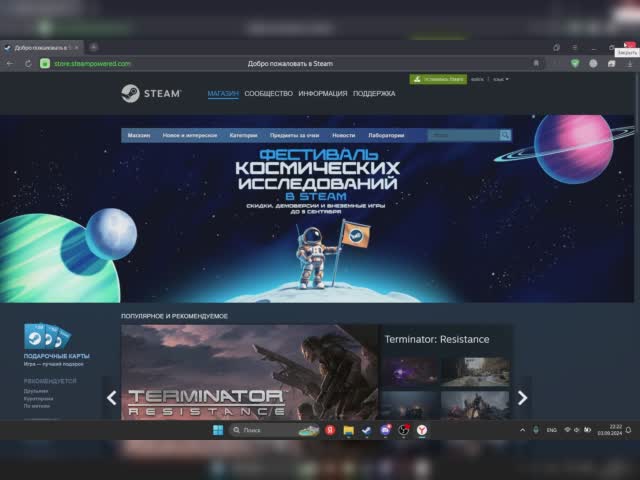 что за шняга и куда её пихать