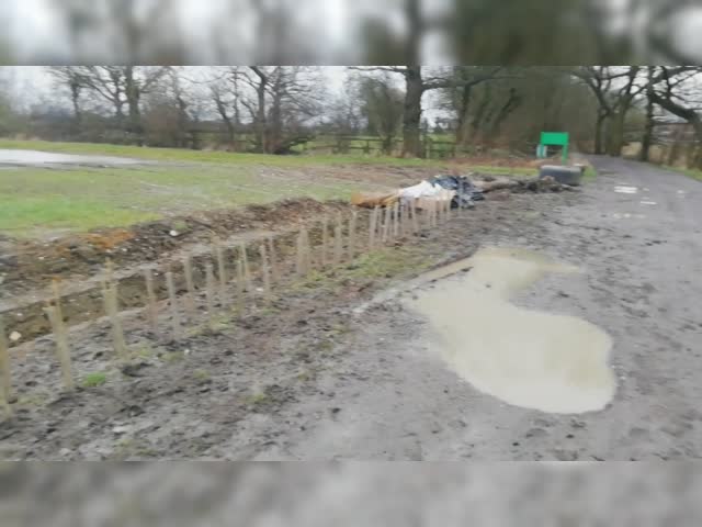 Planting