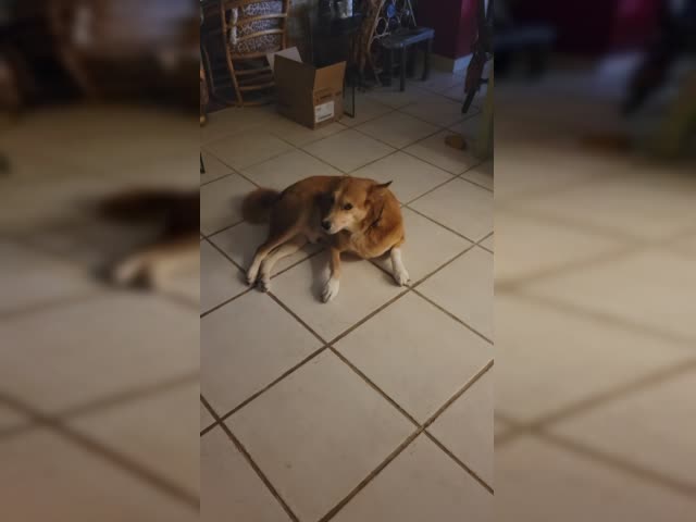 20220720_074759.mp4