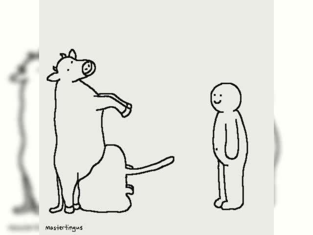 disturbing cow vid