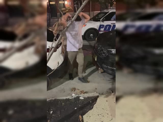 owls assault