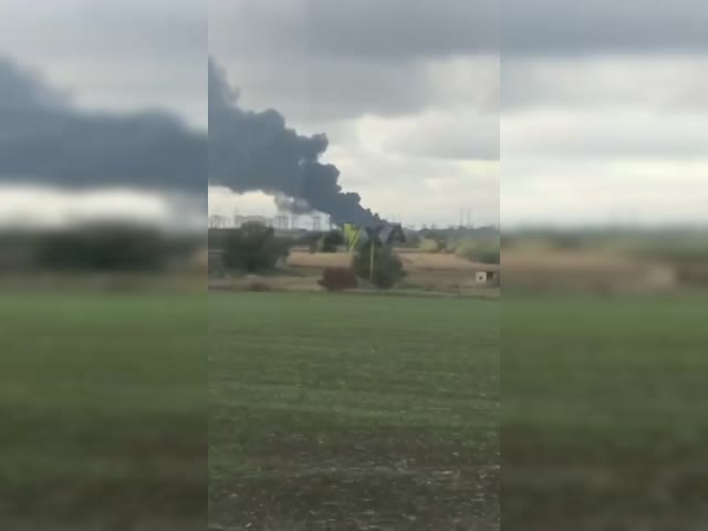 1(4).mp4