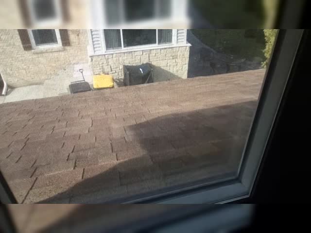 What the Nick is there.
