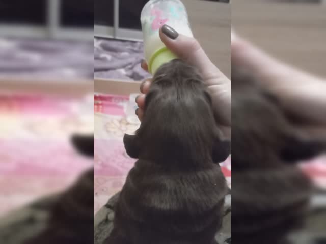 GATM4Bhg00kKiQMEAD76jUHFiRIxbmdjAAAF.mp4
