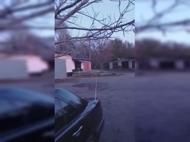 sadadsad.mp4
