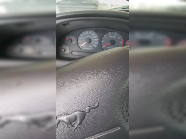 mustang