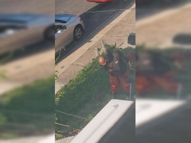 Man receiving SSD cutting neighbor's grass for profit