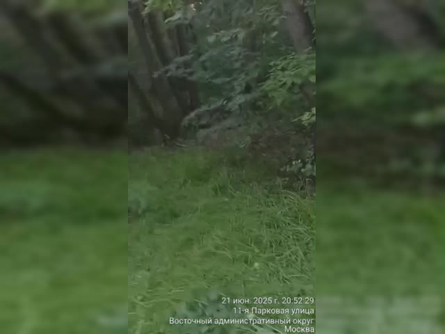 1000005982.mp4