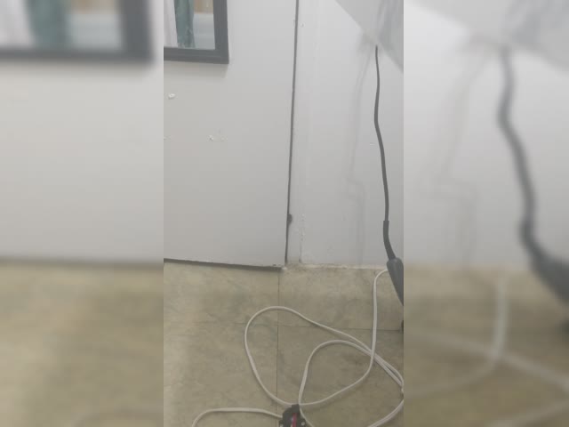 Annoying cat
