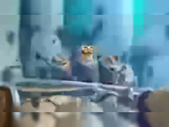 Minion The Dinosaur