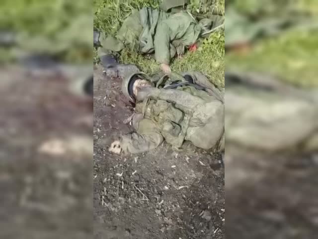 22 (1).MP4