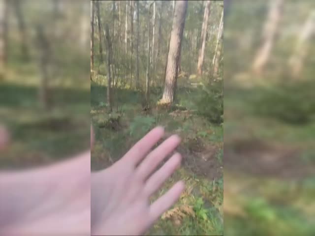 видео