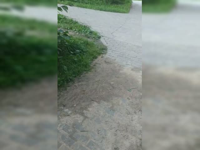 disp