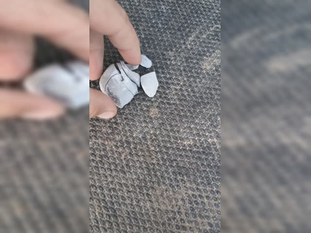 VID20240518193651.mp4