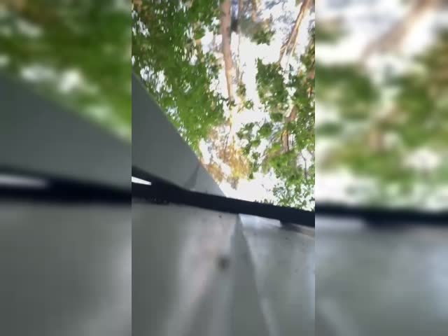 video_2023-06-09_03-17-09.mp4