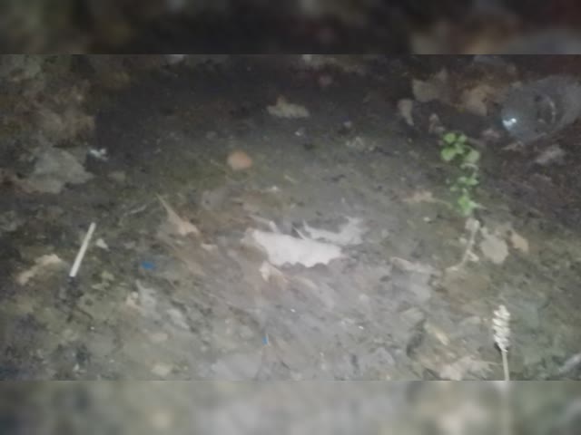 VID_20231226_180001.mp4