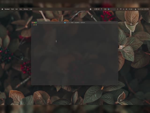 :{{{{{{