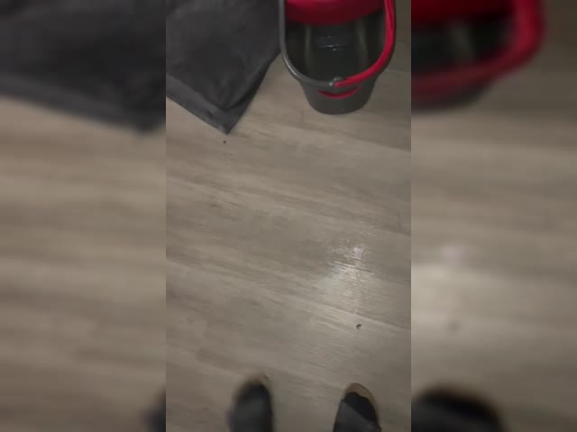 NL Roof