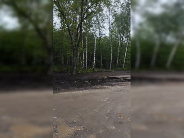 VID_20230512_195032639.CINEMATIC.mp4