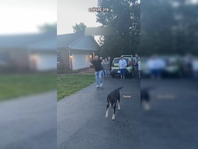 вп.mp4