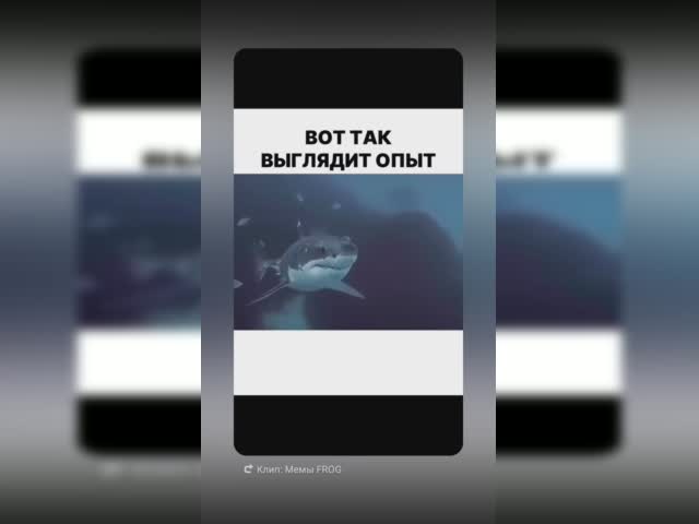 1749638599619.mp4
