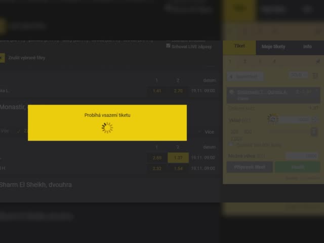Zamítnutý tiket 19.11.2022