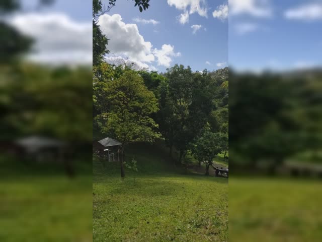 VID_20220227_152809.mp4