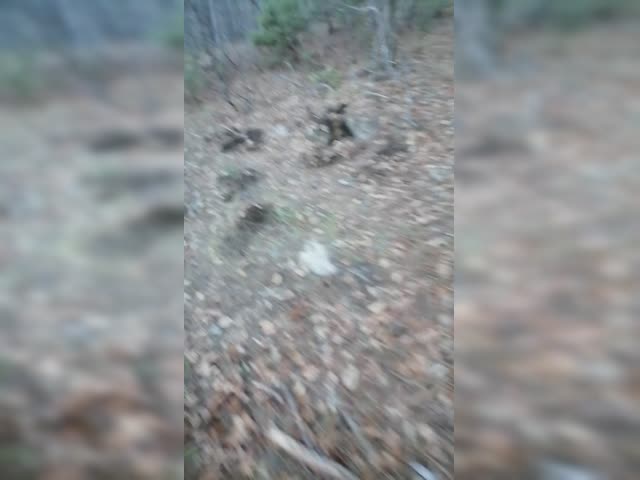 VID_20231229_165817.mp4