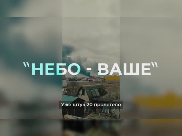 жопа