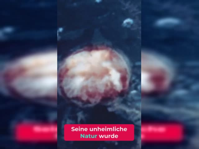 Völkermord