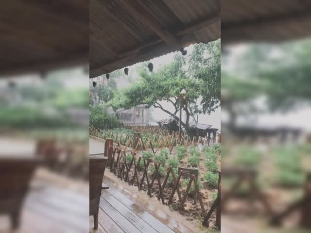SnapTik_7141024195500117275.mp4