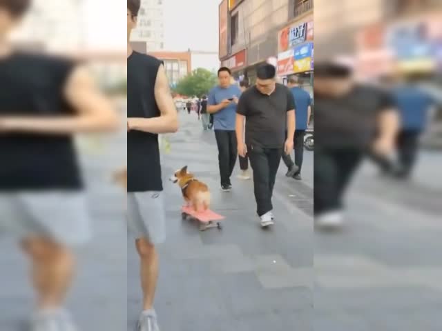 aW4qBnd_460sv.mp4