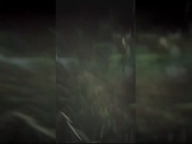 1000029188.mp4